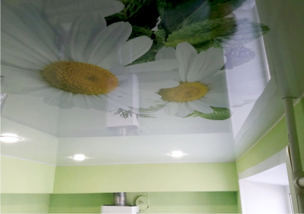 Натяжные потолки с фотопечатью