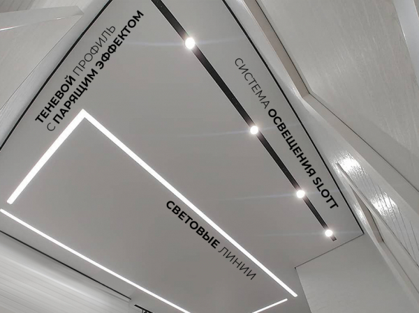 Натяжной потолок в гостиную